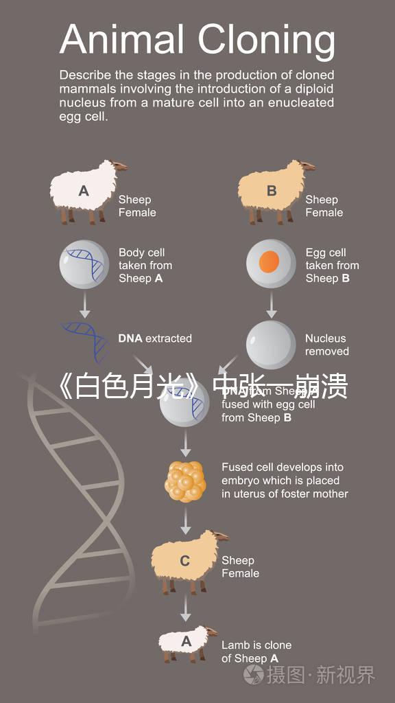 《白色月光》中張一崩潰在孩子面前哭，你認為該不該？
