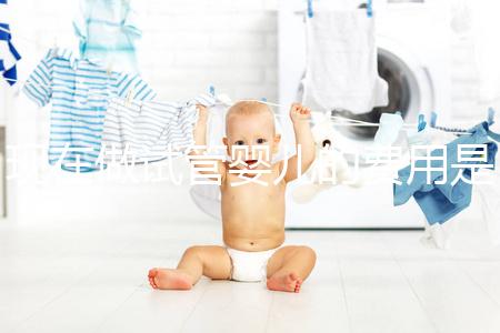 現在做試管嬰兒的費用是多少