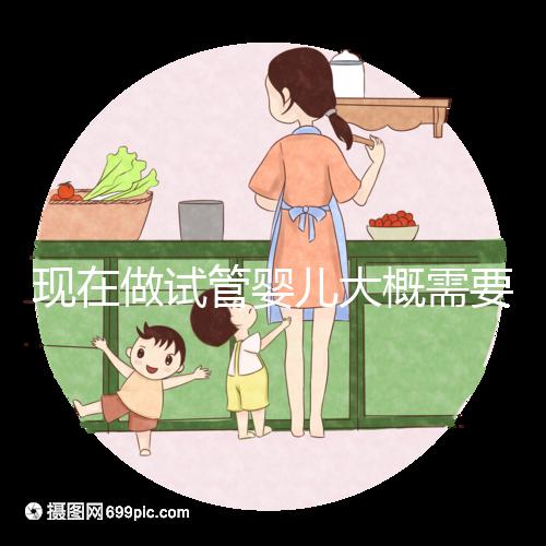 現(xiàn)在做試管嬰兒大概需要多少錢(qián)?