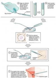 男性孕前檢查事項有哪些