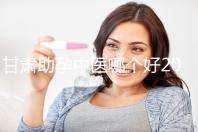 甘肅助孕中醫哪個好2024,成功率高又便宜?