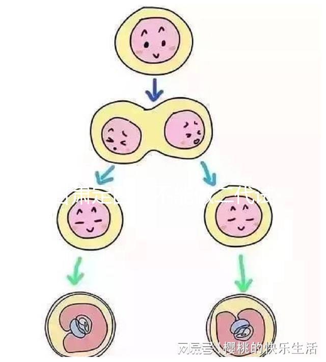 甘肅定西能不能做二代試管嬰兒,成功率高不高?