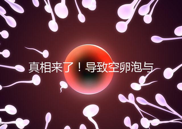 真相來了！導致空卵泡與多囊卵巢有關，區別在于以下四點，多研究