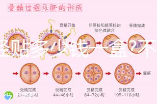 痛經(jīng)貼多少錢(qián)一盒?不同品牌痛經(jīng)貼價(jià)格盤(pán)點(diǎn)
