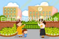 白扁豆的功效與作用及食用方法（白扁豆治什么病最好）