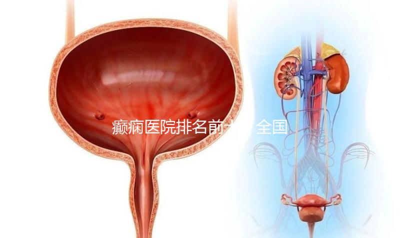 癲癇醫院排名前十（全國癲瘋病最好的醫院）