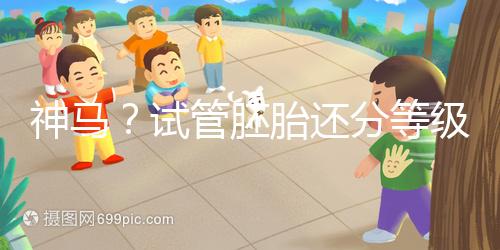 神馬？試管胚胎還分等級(jí)嗎？