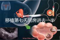 移植第七天同房進(jìn)去一半有無(wú)影響戳,沒(méi)出血問(wèn)題就不大