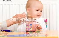 移植后便秘影響著床嗎?聽聽試管醫(yī)生馬夫楊怎么說