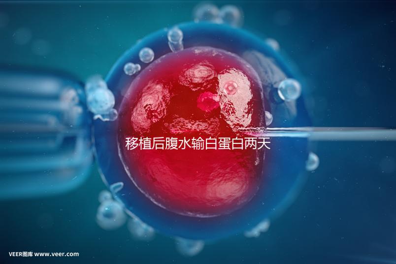 移植后腹水輸白蛋白兩天不好怎么辦?關鍵是找出發(fā)生了什么