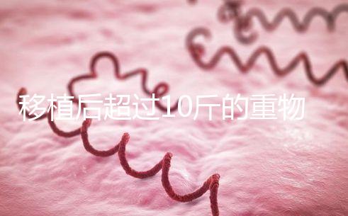 移植后超過(guò)10斤的重物別去搬，當(dāng)心出現(xiàn)腹痛和陰道出血