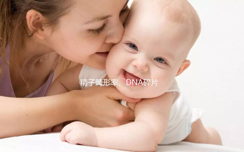 精子畸形率、DNA碎片高，怎么提高精子質量？