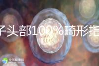 精子頭部100%畸形指數1.69,試管這條路還能通