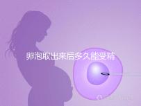 卵泡取出來(lái)后多久能受精做試管來(lái)瞧,想移植請(qǐng)算好時(shí)間