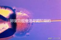 卵巢功能衰退早期階段的妊娠率釋疑，供卵試管嬰兒可>50%