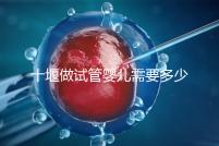 十堰做試管嬰兒需要多少錢?各大醫(yī)院成功率及費用在這里