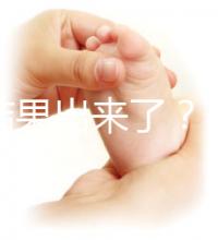 養囊結果出來了?3ab囊胚成功率、質量好不好看這里