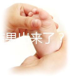 養囊結果出來了？3ab囊胚成功率、質量好不好看這里