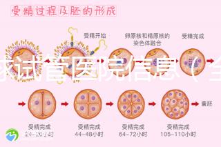 全球試管醫(yī)院信息（全球試管醫(yī)院排名）