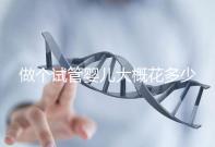 做個(gè)試管嬰兒大概花多少錢(做個(gè)試管嬰兒得花多少錢)