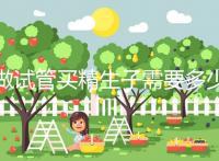 做試管買精生子需要多少錢(做試管買精生子需要多少錢那個醫(yī)院能做)