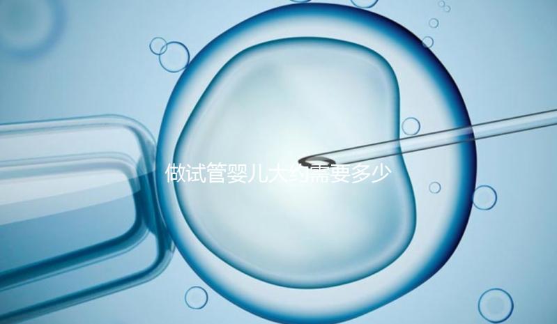做試管嬰兒大約需要多少費用