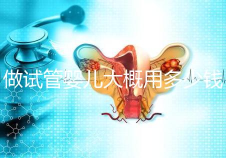 做試管嬰兒大概用多少錢,做試管嬰兒一般需要多少錢