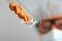 做試管嬰兒都要檢查什么(做試管嬰兒都要檢查什么項(xiàng)目)