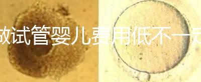 做試管嬰兒費用低不一定好!在江蘇只有29家醫(yī)院有資質