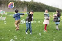 葉璇赴美冷凍卵子,稱“凍卵”是大齡未婚女性“后悔藥”!