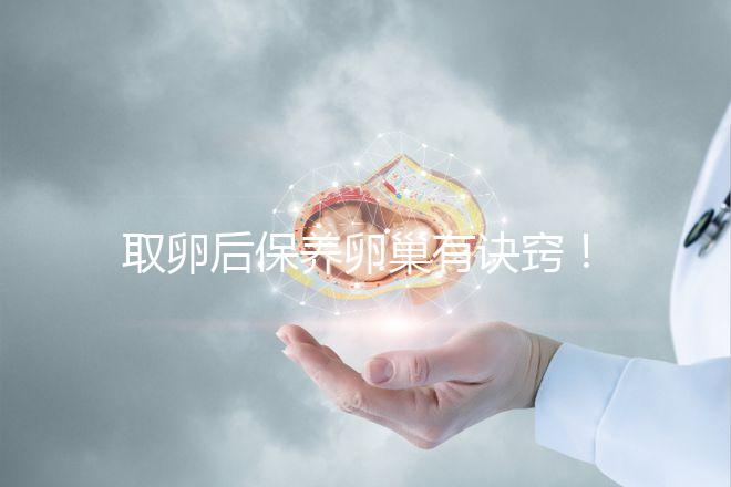 取卵后保養卵巢有訣竅！7種方法助你快速恢復