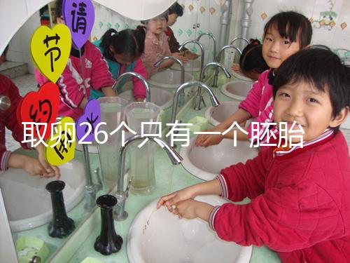 取卵26個只有一個胚胎成功率不低,次月移植凍胚易著床