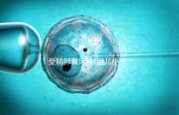 受精卵著床晚?胎兒小于停經(jīng)時(shí)間,分析：卵子精子結(jié)合晚