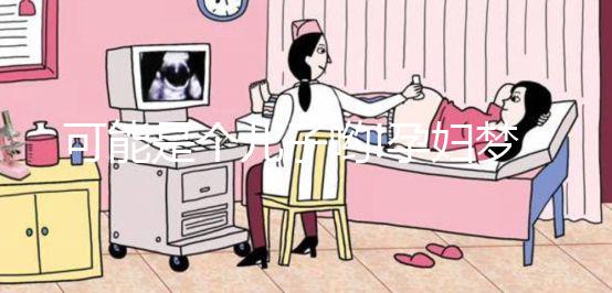 可能是個(gè)兒子喲!孕婦夢(mèng)見海龜相關(guān)胎夢(mèng)解析