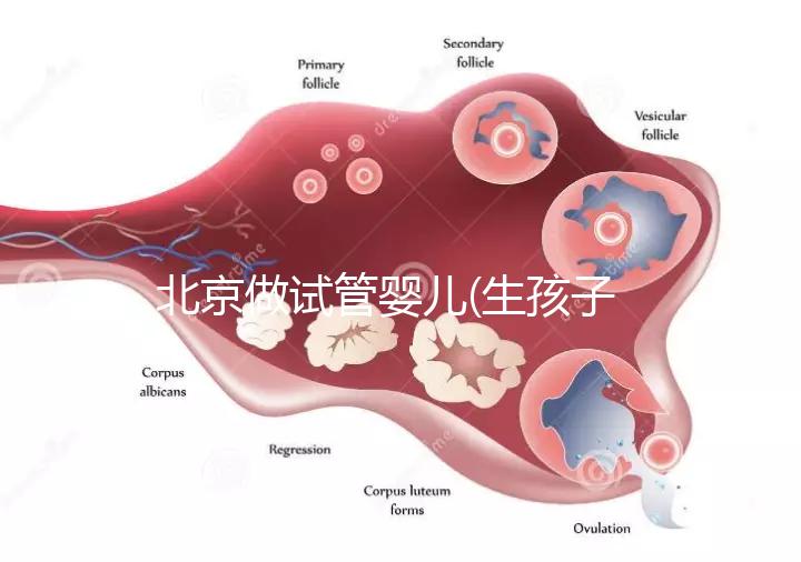 北京做試管嬰兒(生孩子)的費用具體是多少?