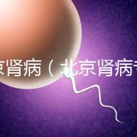 北京腎病(北京腎病專家排名)