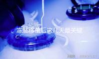凍胚移植后這幾天最關(guān)鍵!一文揭秘重要原因