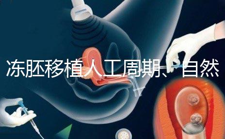 凍胚移植人工周期、自然周期怎么選?哪個(gè)成功率高?