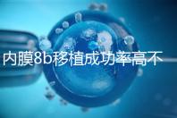 內(nèi)膜8b移植成功率高不高分析,掌握好時(shí)間放凍胚也能著床