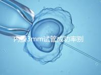 內膜3mm試管成功率別沒數，多久移植、出血與否是關鍵