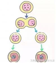 別再混淆著床和快來例假了,除了出血量還有這些區(qū)別