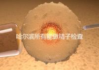 哈爾濱所有能做精子檢查的醫(yī)院都在這里，價(jià)格便宜又專業(yè)