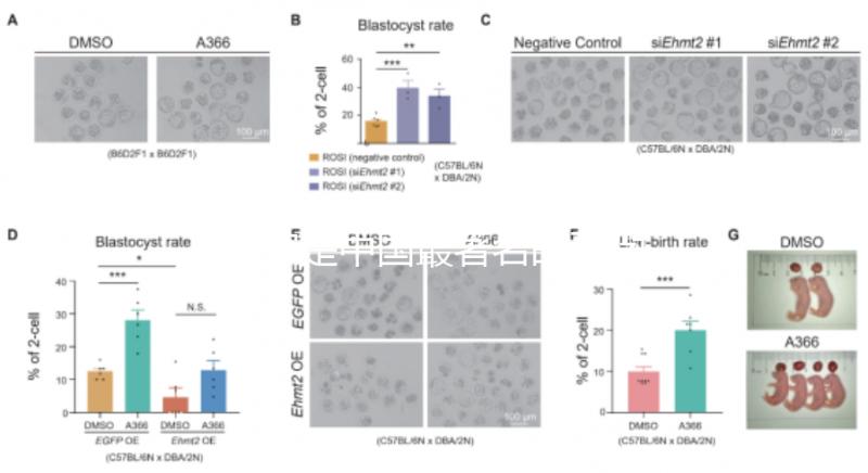 哪家是中國(guó)最著名的不孕不育醫(yī)院,包括正規(guī)機(jī)構(gòu)的排名