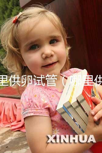 哪里供卵試管（哪里供卵試管的費用低）