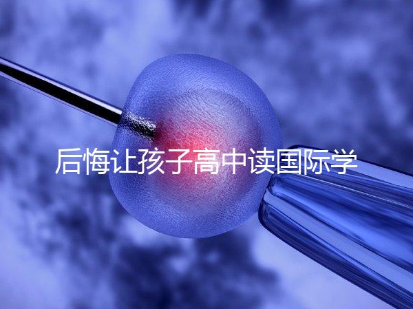 后悔讓孩子高中讀國際學校4大理由，行動前學籍咋辦要弄清