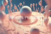 合肥借卵生子私立醫(yī)院匯總，2024哪家排名好一覽了然