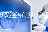 同卵雙胞胎有多少胎盤?1個or2個當(dāng)場講給你聽