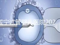 咸寧試管嬰兒醫(yī)院2024年成功率排名公開，哪家好一目了然