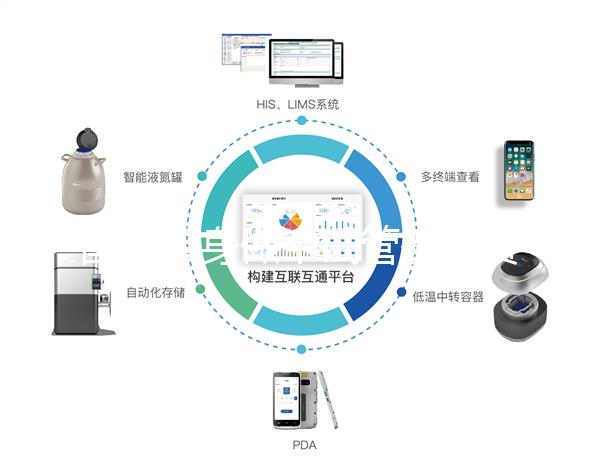 國內單身做個試管嬰兒費用大概要多少?