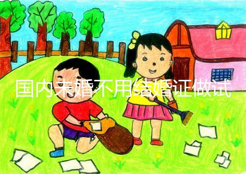 國內(nèi)未婚不用結(jié)婚證做試管機構(gòu)都有哪些?